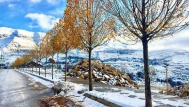 Photo of استراحةٌ هذا الأسبوع: لا أمطار… وهذا ما يخبّئه الطّقس