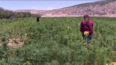 Photo of الذلّ لتطويع الناس.. والأزمة تُعيدهم إلى الأرض!