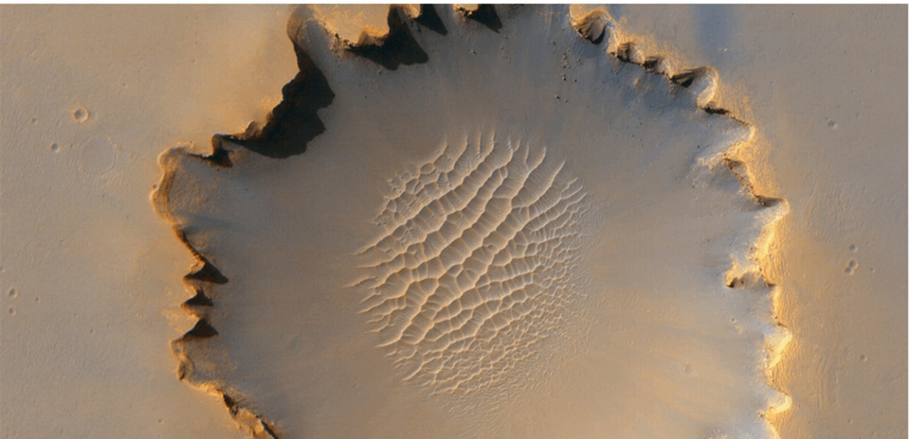 Photo of “جذع شجرة” عملاقة على سطح المريخ.. ما القصة؟