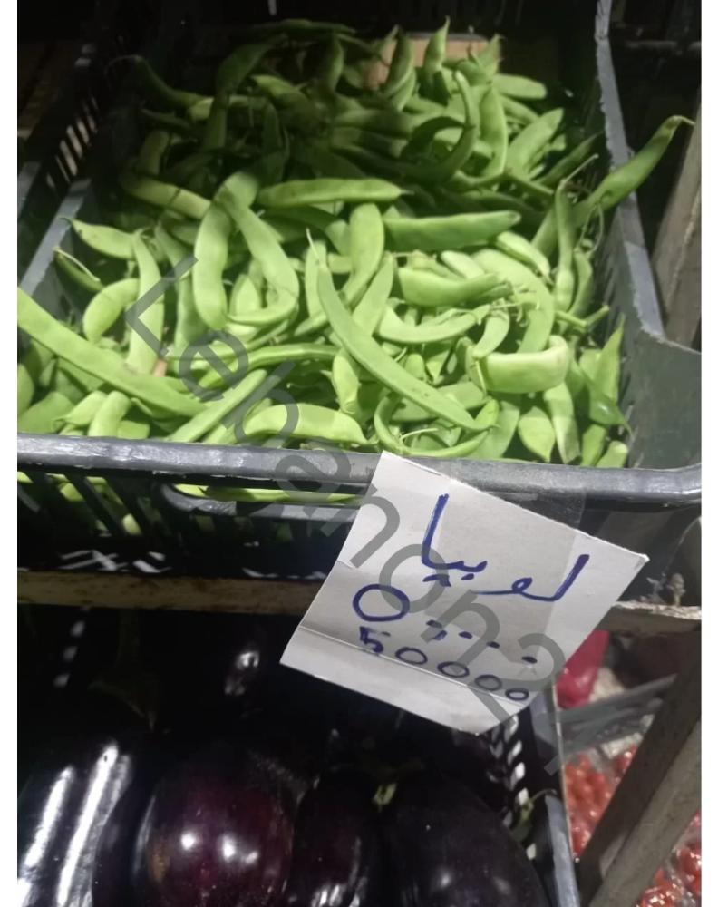 Photo of سعر خيالي لكيلو اللوبية في لبنان!