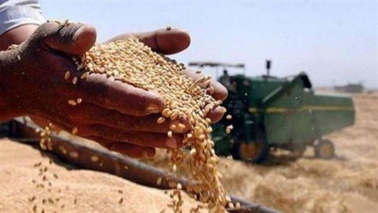 Photo of ارتفاع غير مسبوق لأسعار القمح.. من هم أكبر المصدرين والمستوردين والمنتجين؟