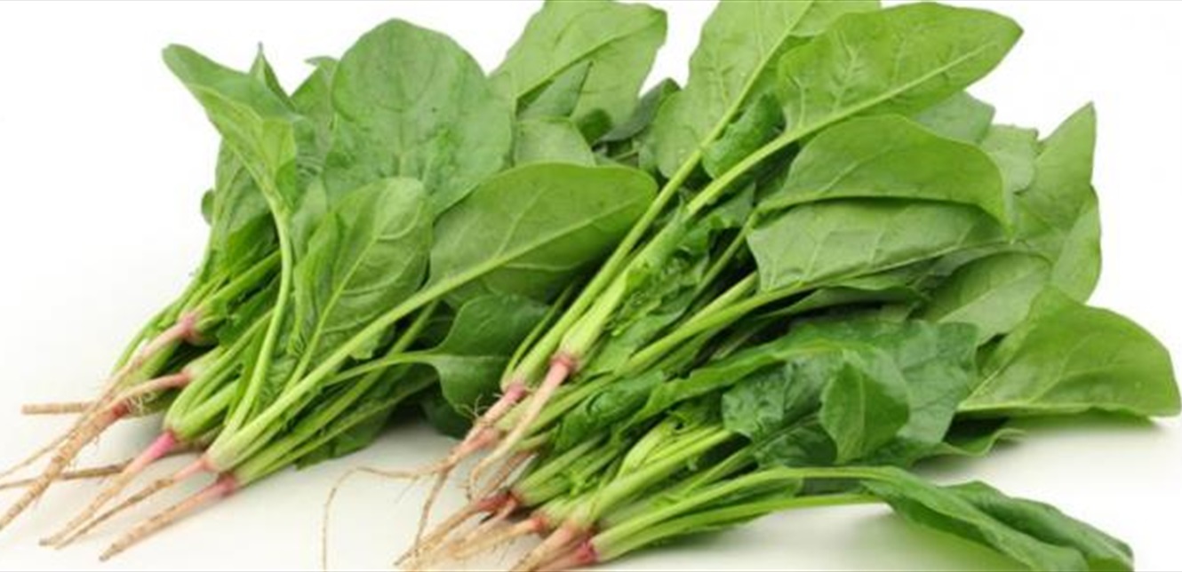 Photo of السبانخ… اليكم ابرز فوائدها