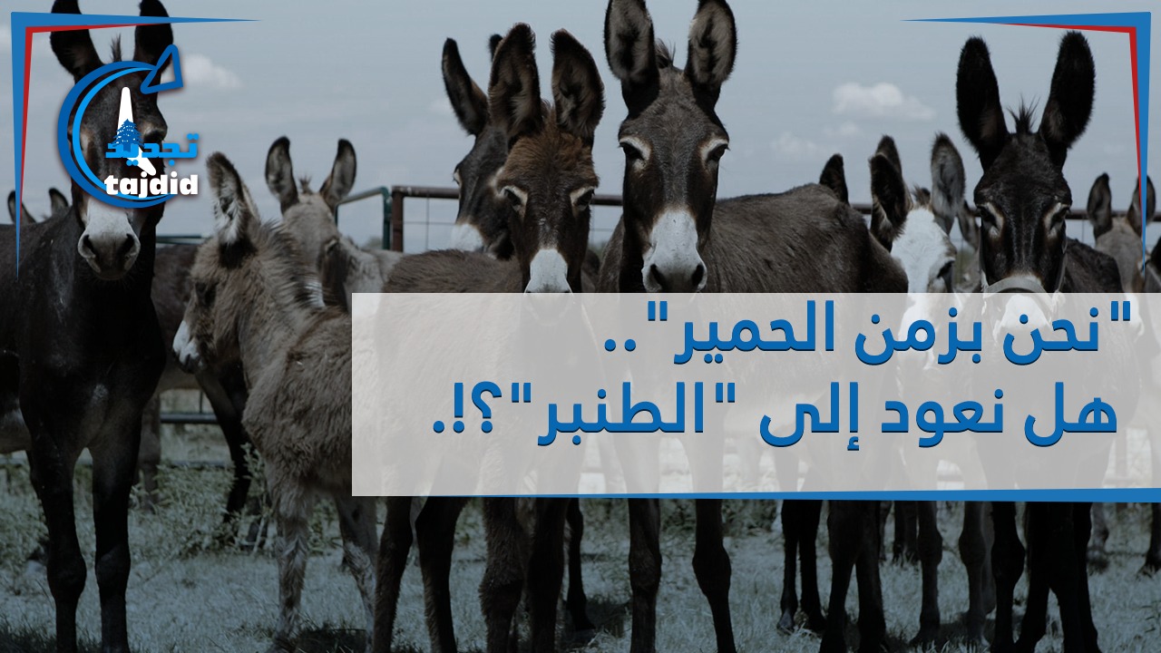 Photo of نحن بزمن الحمير”.. هل نعود إلى “الطنبر”؟!