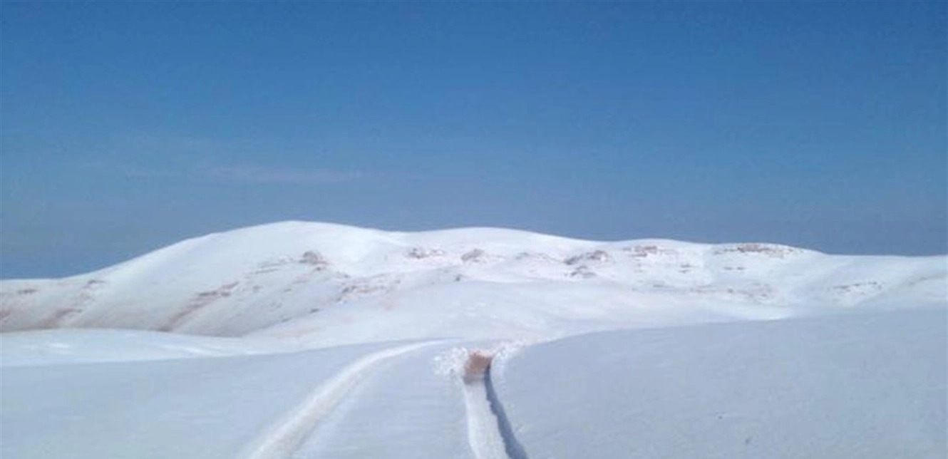 Photo of شاهد بالفيديو… حيوان برّي غريب على سفوح جبل المكمل!