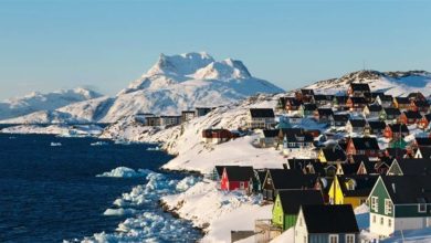 Photo of خبر سارّ… هذه الحيوانات لا تتأثر بتغير المناخ في غرينلاند