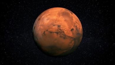 Photo of “شيء غير متوقع”… هذا ما رصدته ناسا على سطح المريخ!