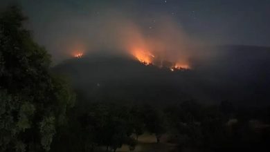 Photo of أكبر غابة صنوبر برّي في الشرق الأوسط تحترق الآن… “أنقذوا لبنان”