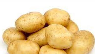 Photo of البطاطا… اليكم بعض فوائدها