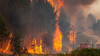 Photo of إسبانيا: رغم قلة الرياح النيران تلتهم غابات جديدة وشكوك بأن الحرائق متعمدة