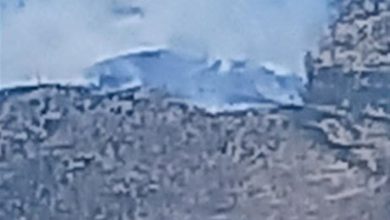 Photo of حريق في قضاء بعلبك – الهرمل… ووزير الزراعة يُناشد
