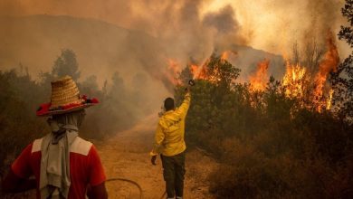 Photo of المغرب: احتواء 50% من حرائق الغابات في شمال البلاد