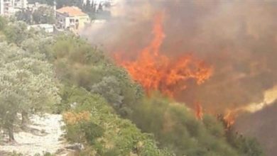 Photo of حريق في كفريا – الكورة