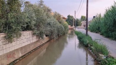 Photo of أمراض جلديّة وصدريّة… ماذا يجري في ببنين؟
