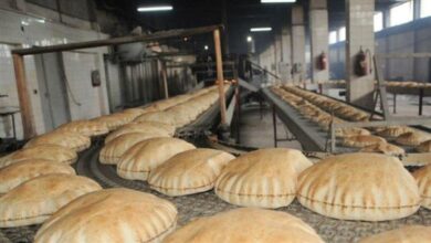 Photo of ناصر سرور: قطاع الأفران بعيد عن التجاذبات السياسية والطائفية