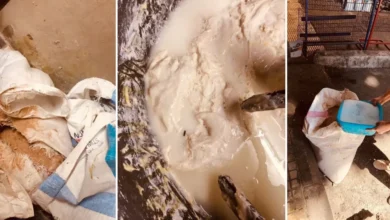 Photo of بالصور/ دود وسوس في الطحين! محضر ضبط بحق فرن تنور ضمن نطاق حارة حريك
