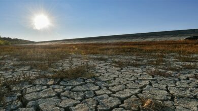 Photo of الأسوأ منذ 500 عام… فاتورة الجفاف تتخطى الـ 13.2 مليار دولار كل 6 أشهر