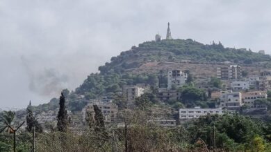 Photo of النيران كثيفة.. اندلاع حريق كبير في محيط مغدوشة