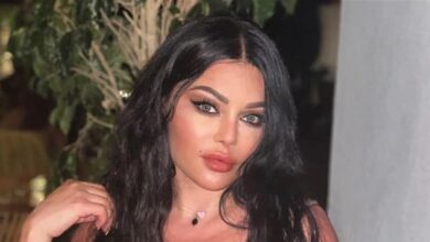 Photo of “الكوكب يتحدث عنها”.. “مُحامي المشاهير” في صورة لافتة مع هيفاء وهبي!
