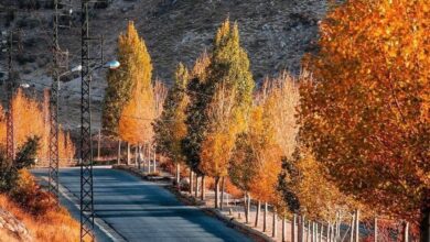 Photo of لبنان تحت تأثير منخفض جوي