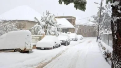 Photo of شتاء لبنان… مواجهةٌ باللحم الحيّ!