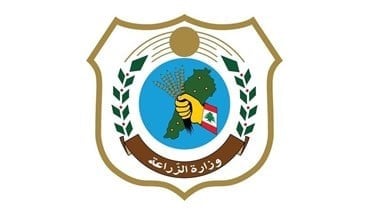 Photo of اعلان لوزراة الزراعة حول بذار القمح الطريّ..ماذا جاء فيه؟