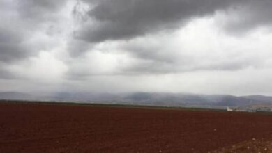 Photo of المواسم الزراعية مهدّدة: البذار والسماد بالدولار!