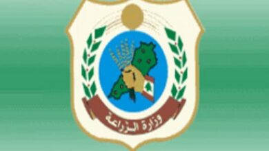 Photo of بعد إجراء الفحوصات على شحنة نيترات الأمونيوم… إليكم النتيجة!