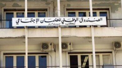 Photo of الضمان يضبط 233 أجيراً وهميًّا