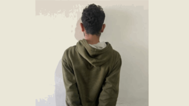 Photo of توقيف سارق حطب وملاحقة شريكه في الشوف