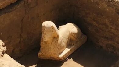 Photo of إكتشاف أثري جديد جنوبي مصر