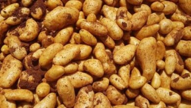 Photo of توضيح حول ما يُثار عن إدخال باخرتَي بطاطا مصريّة إلى لبنان