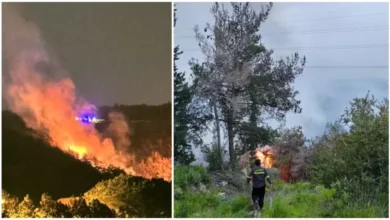 Photo of حريق كبير في أحراج منطقة بجيرو في مزبود.. والدفاع المدني يعمل على إخماده منذ الأمس!