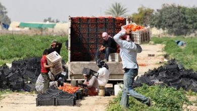 Photo of مطالب بتنظيم العمالة السورية لتنفيس الاحتقان