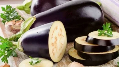 Photo of الباذنجان النيء.. فوائد صحية لا تقدر بثمن