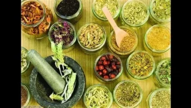 Photo of أعشاب موسعة للشعب الهوائية