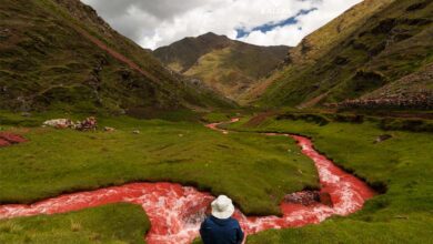 Photo of النهر الأحمر في كوسكو..ظاهرة طبيعية نادرة لن تصدق وجودها (صور)