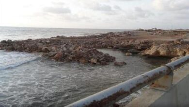 Photo of وقف أعمال الردم عند شاطئ الناقورة للتأكد من قانونيتها