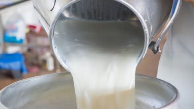 Photo of تحرك رسمي لضبط ارتفاع اسعار مشتقات الحليب