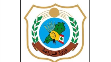 Photo of وزارة الزراعة حول حريق منطقة تلة السن في عكار العتيقة: نعمل بكامل إمكاناتنا لتأمين الحماية للثروة الحرجية