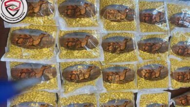 Photo of ضبط 250 ألف حبة كبتاغون داخل مدرسة قيد التأهيل في غرب العراق