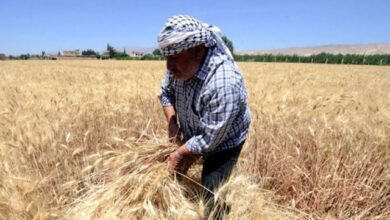 Photo of بيان من “الزراعة” بشأن “محصول القمح”