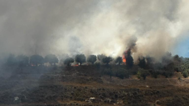 Photo of أتى على مساحات من الاعشاب واشجار الزيتون.. حريق ضخم في ضهور الرميلة الساحلية