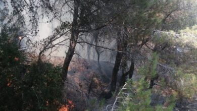 Photo of النيران لا تزال تلتهم احراج داريا وغريفة وصولا الى حصروت