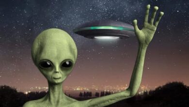 Photo of Alien بشريّ وتحوّلات مُرعبة… هل هي النهاية؟