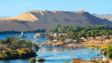 Photo of هل انتهت أسطورة “عروس النيل؟… مختصون يجيبون