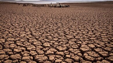 Photo of الجفاف والعطش يهددان إسطنبول!