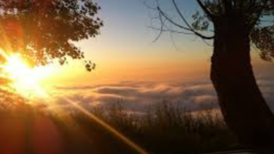 Photo of جنون الأسعار تطال ال “sunset” … مشهد الغروب صار بمصاري