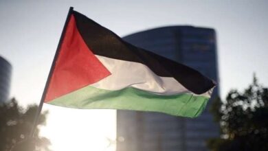 Photo of بالصورة: نجم رياضي جديد يتضامن مع فلسطين