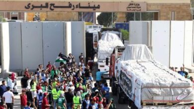 Photo of 17 شاحنة مساعدات تعبر من رفح نحو قطاع غزة