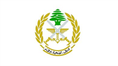 Photo of الجيش: توقيف فلسطيني لمشاركته في الإشكال داخل مخيم عين الحلوة